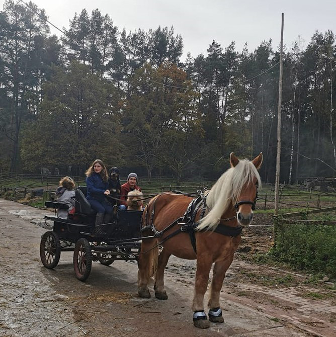 Promenades-en-caleche