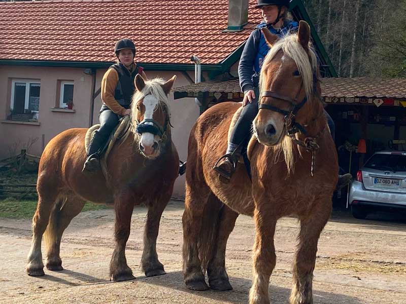 photo-du-cheval-elektra-du-centre-equestre