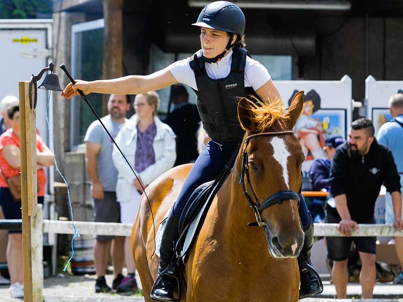 photo-du-cheval-gina-du-centre-equestre