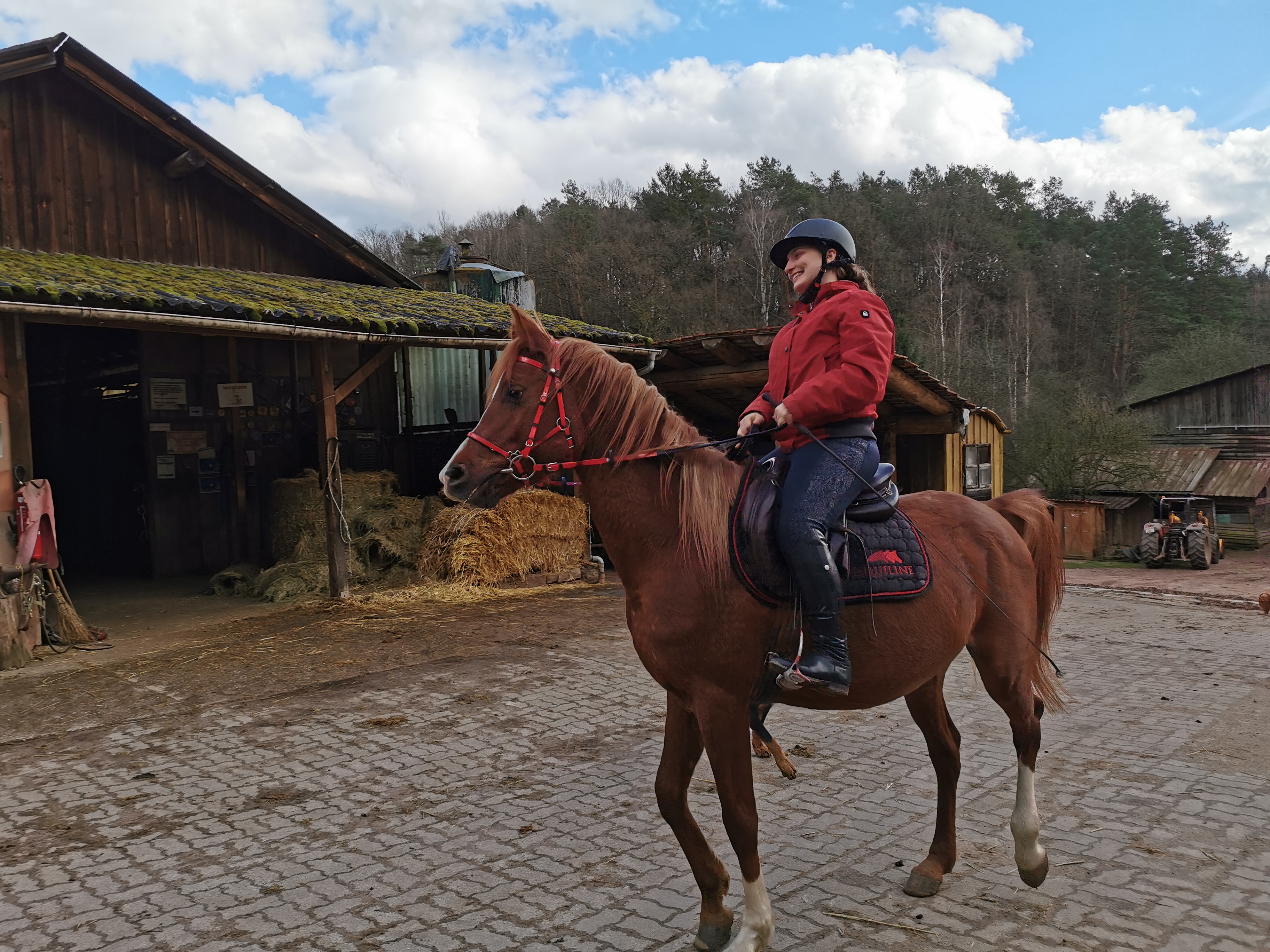 photo-du-cheval-kheops-du-centre-equestre