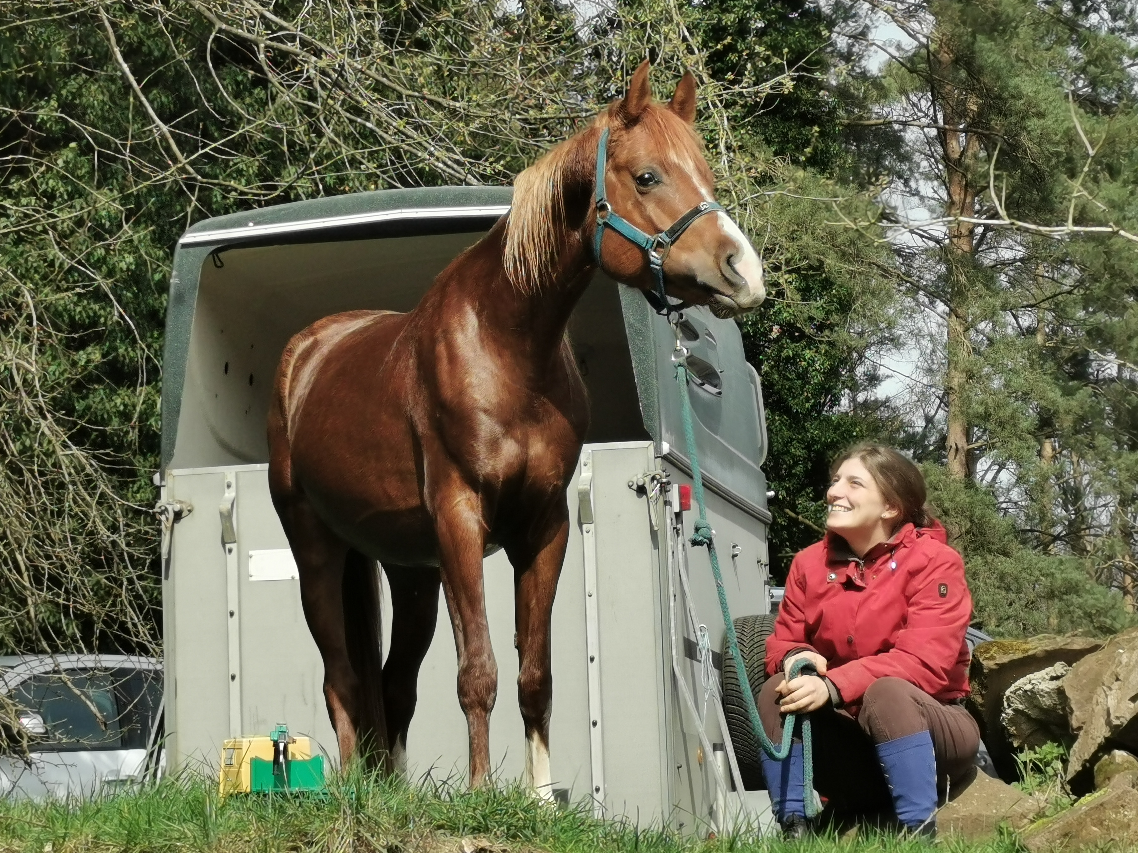 photo-du-cheval-kheops-du-centre-equestre