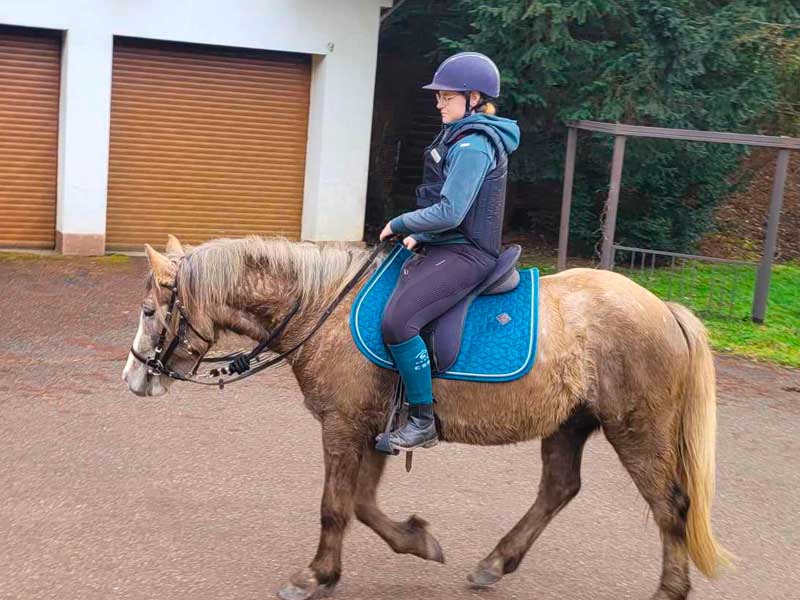 photo-du-cheval-kiwi-du-centre-equestre